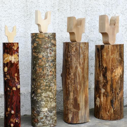 installation ''La FORET'' - SILVA FORESTIS - 14 totems coeurs d'arbres- H 130 à 230 cm- ici vue partielle 