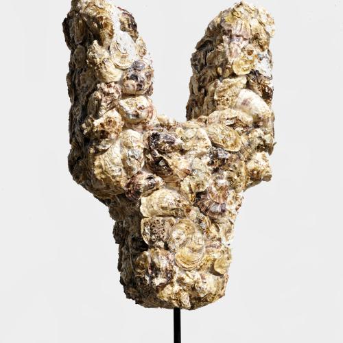 Sculpture ''ST-S601''- coquilles d' huîtres sur résine- 74x40x20 cm