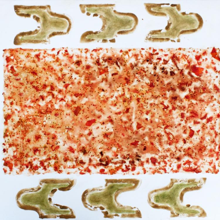 série ''Eloge de la tomate'': jus, graines, chairs, peaux, et feuilles+ chlorophylle + terre... sur papier -70x100 ou 100x70 cm