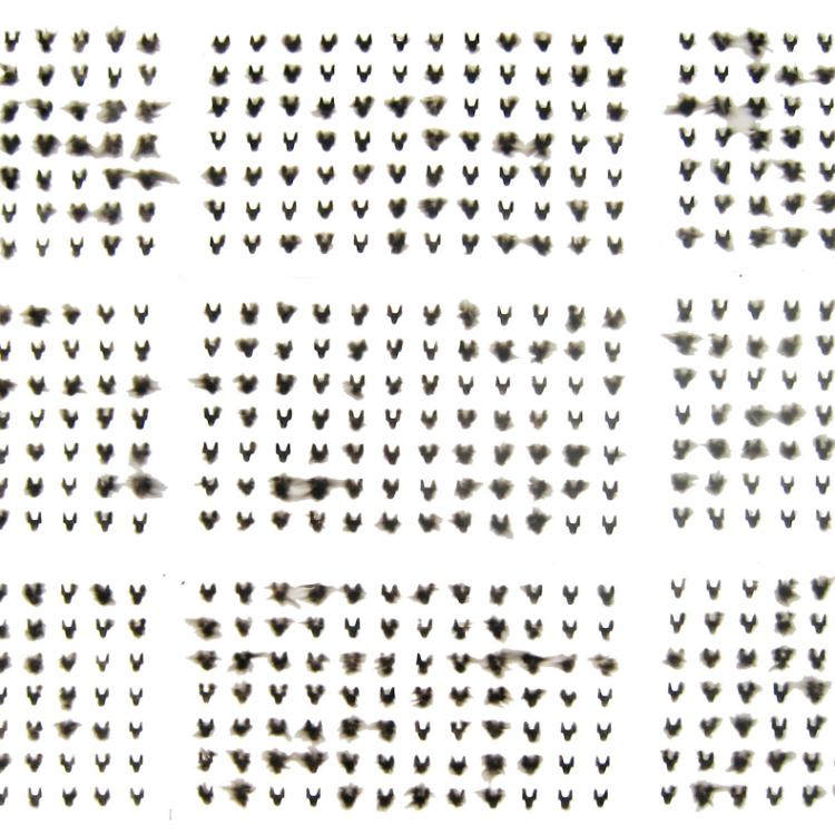 Œuvres sur papier de la série Fumées de bougie ''ST-P 684-BCDEFGHIJ''- 9 feuilles de 70x100 cm sont installées ici: 210x300 cm - autres dimensions possibles...