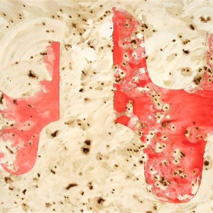 Œuvre sur papier de la série ''Eloge de la Tomate'' « ST-P 666-A» sucs, chairs, peaux et graines de tomates+ acrylique - 70x100 cm