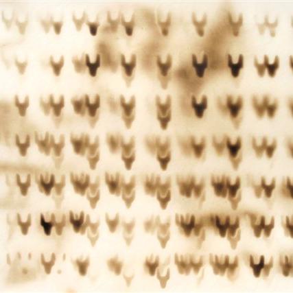 Œuvre sur papier de la série Papiers brûlés - ''ST-P 683-A'' - 70x100 cm