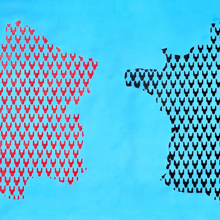 '' Les 2 Frances'' - série ''Carte de France et le même n'est pas l'identique''- peinture sur papier-150 x 292 cm