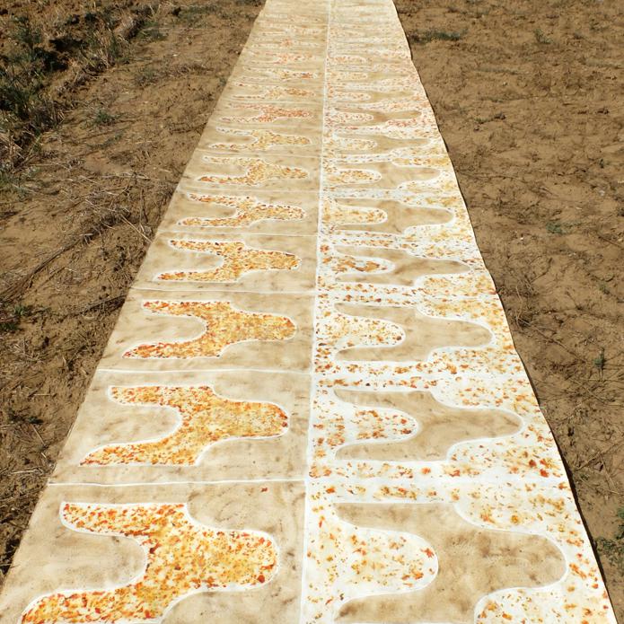 série ''Eloge de la tomate''- jus graines chairs peaux de tomate+ terre...sur papier- 126x1000 cm