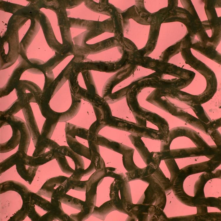  oeuvre sur papier série ''sans titre''- ST P03- acrylique+ jus de terre naturelle- 100x70 cm