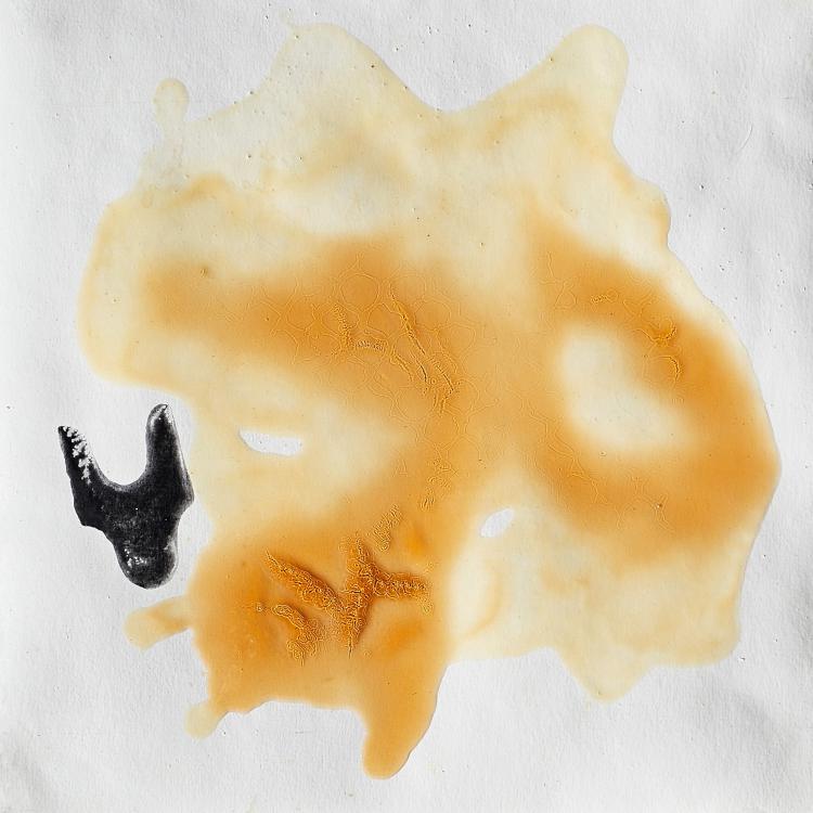 Petit format A - série '' Les Ruches'' dite '' Queen Bee House '' - miel + mixte -30 x 30 cm.