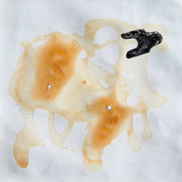 Petit format B - série '' Les Ruches'' dite '' Queen Bee House '' - miel + mixte -30 x 30 cm.