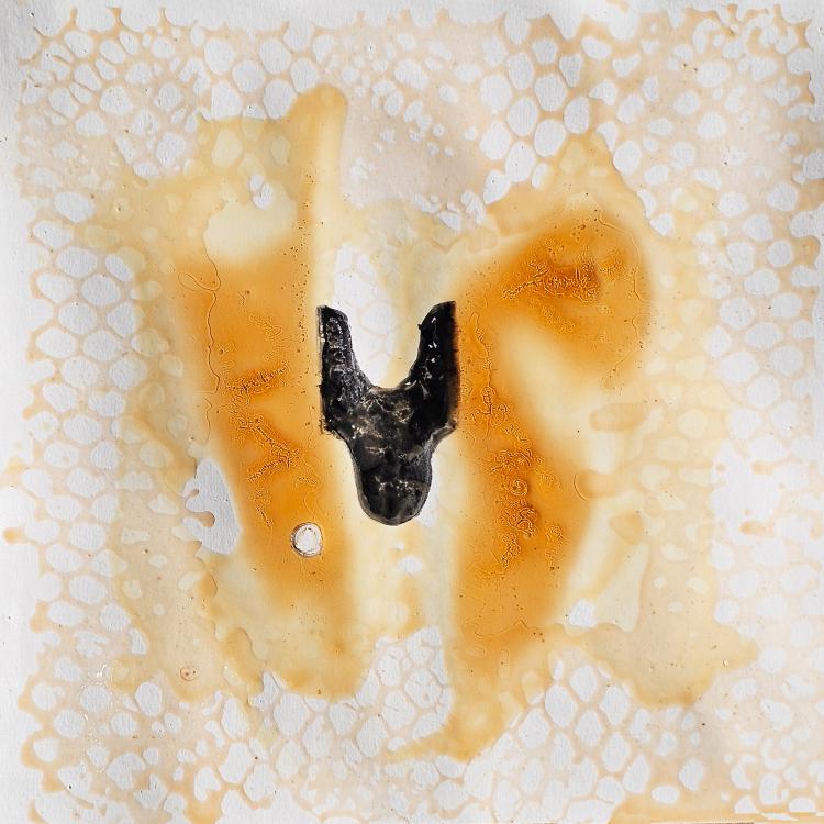 Petit format C - série '' Les Ruches'' dite '' Queen Bee House '' - miel + mixte -30 x 30 cm.