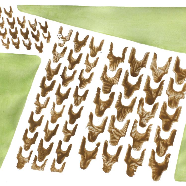 « ST-P1126 c » série ''Jachère'' - terre + peinture sur papier - 70 x100 cm