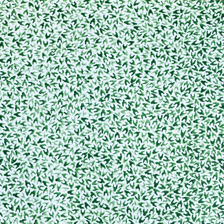 ST-P625- série sur papier ''Ode au Végétal'' -150 x 200 cm