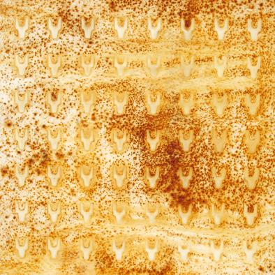 Œuvre sur papier de la série Papiers rouillés - ''ST-P682-B''-70x100 cm