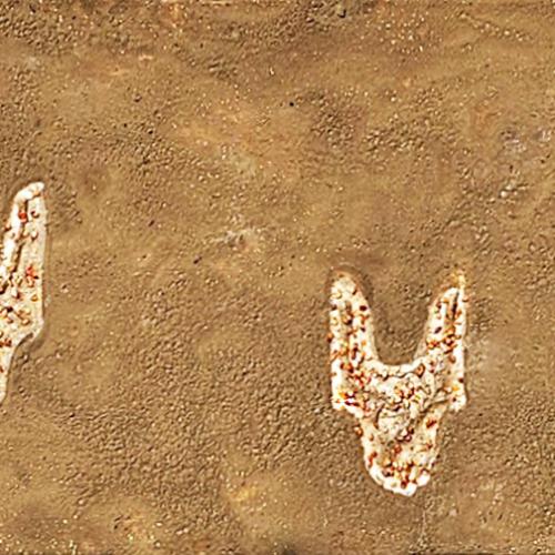 ''le Potager'' - série ''Eloge de la Tomate'' - terre brute du jardin+graines de tomate- 29 x 213 cm