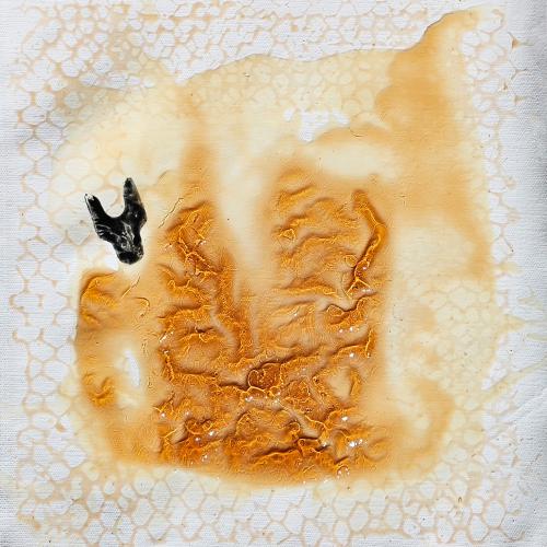 Petit format G - série '' Les Ruches'' dite '' Queen Bee House '' - miel + mixte -30 x 30 cm.