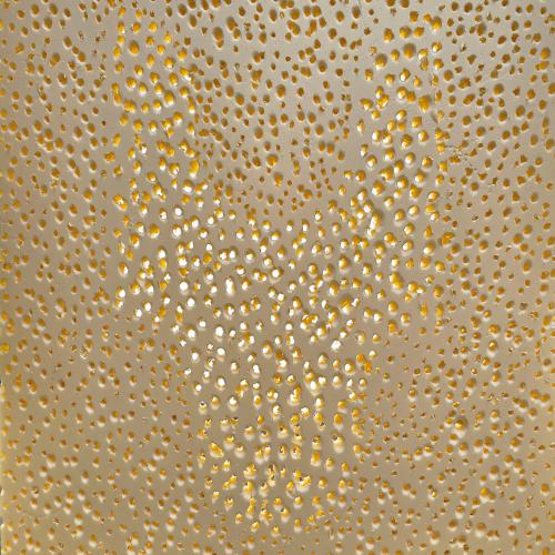 série '' perforer '' - extrudé perforé dit ''le gruyère''- 54x44x2 cm-