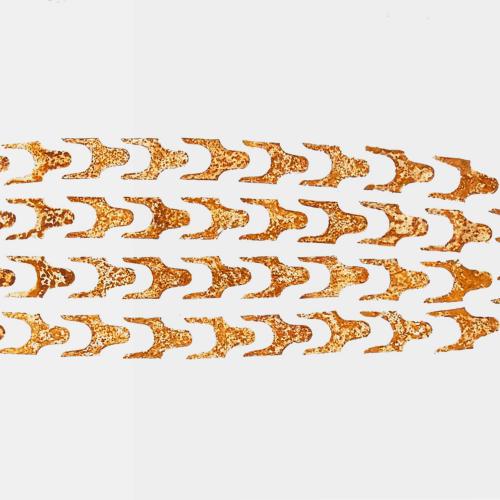 Série ''Rouille'' sur toile- ''le Poisson fossilisé'' -46F91 -213 x 500 cm