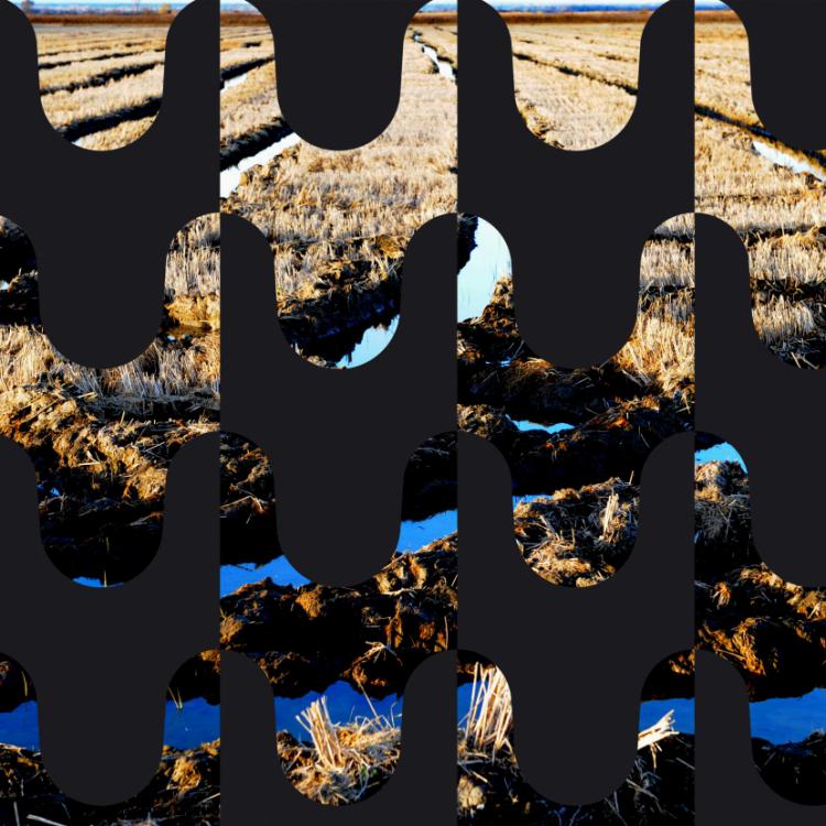 ''ST-PH 0251P''- série ''Pictogrammes''- 47x72 cm - Ed.5