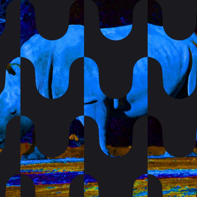 ''ST-PH 0479P''- série ''Pictogrammes'' -44x68 cm - Ed.5 