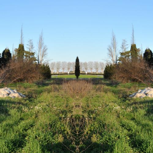 ''NP-4978'' de la série ''Nature / plastique'' - 50x150 cm - éd. 5