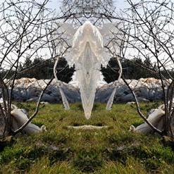 ''NP-4714'' de la série ''Nature / plastique'' - 50x130 cm - éd. 5