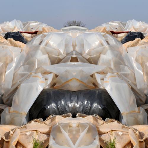  ''NP-4711'' de la série ''Nature / plastique'' - 50x145 cm - éd. 5