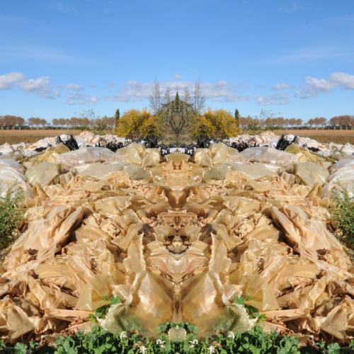 ''NP-7269'' de la série ''Nature / plastique'' - 50x95 cm - éd.5