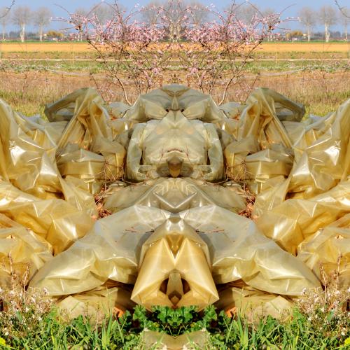 ''NP- '' de la série ''Nature / plastique''- 80x60 cm - éd. 5