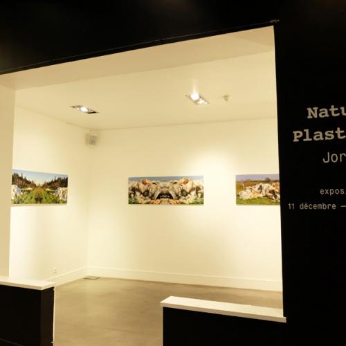 Exposition personnelle: série ''Nature-plastique'' - Galerie Agnès b. Marseille - (vue partielle)