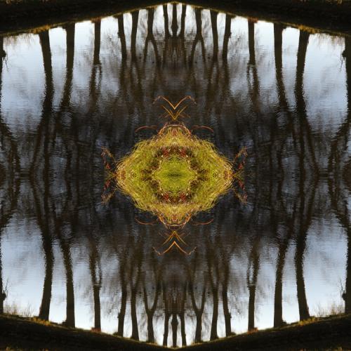 ''ST-PH 0313'' de la série ''Paysages mutants'' - 80x115 cm- éd.9