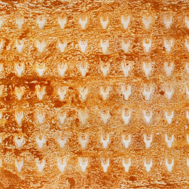 œuvre/papier de la série Papiers rouillés ''ST-P 682-N'' - 70x100 cm